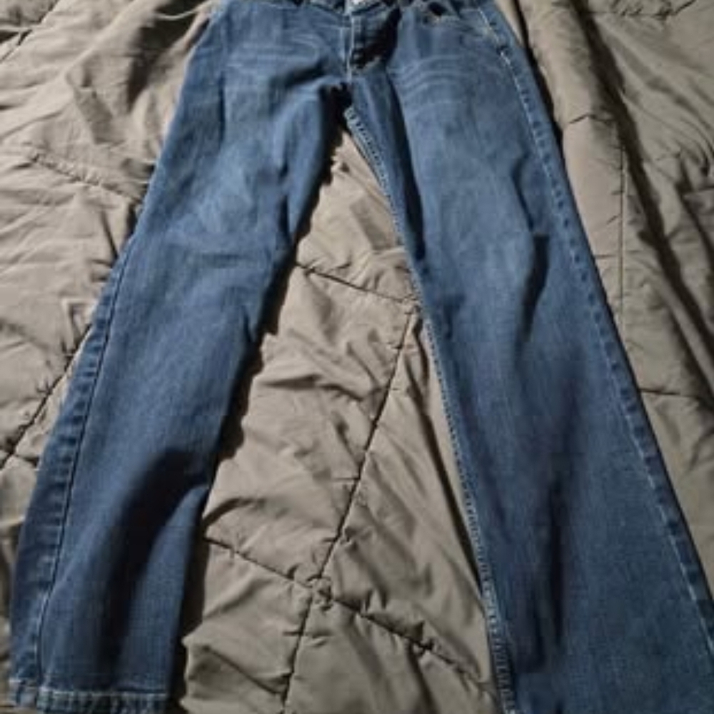 Men's Bulwark FR jeans